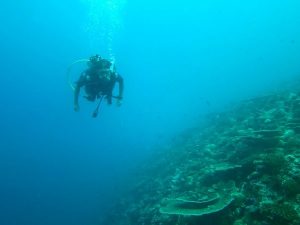 Duiken en snorkelen op de Malediven