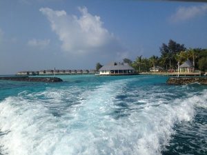 Leuke uitjes op de Malediven